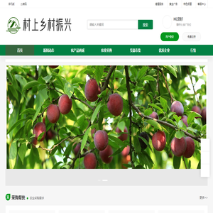 村上乡村振兴