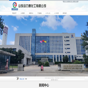 山东合力泰化工有限公司