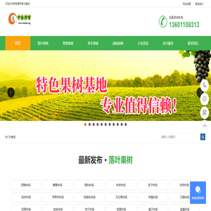 特色果树苗木中林种苗基地供应西梅苗葡萄苗草莓苗苹果苗樱桃苗桃苗桔子苗