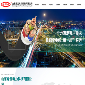 山东绿宝电力科技有限公司