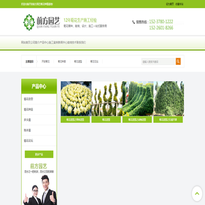 开封菊花