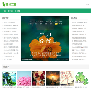 快鸟文章网