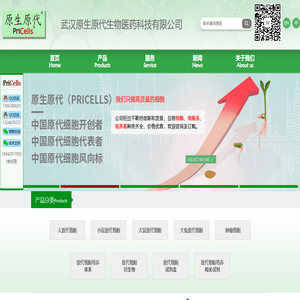 原代细胞