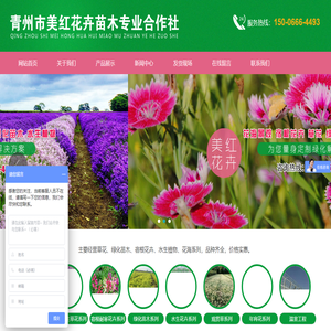 草花批发基地