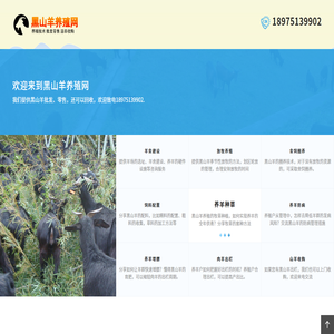 黑山羊价格