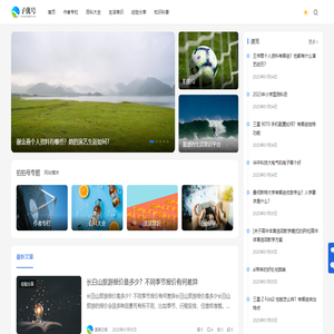 拍拍号