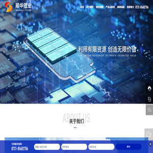 湖南顺华锂业有限公司