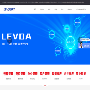LEVSOFT为企业提供数智化服务平台