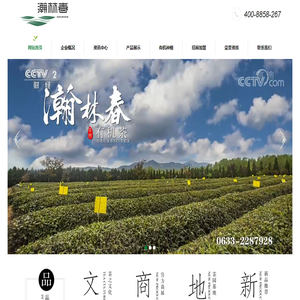 日照绿茶
