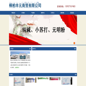 索尔维小苏打