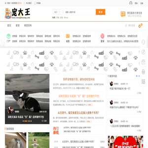 宠大王