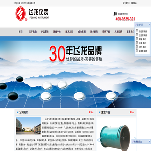 山东飞龙仪表有限公司