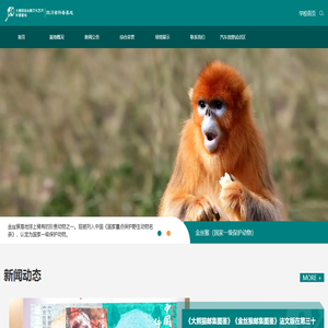 大熊猫金丝猴文化艺术科普基地