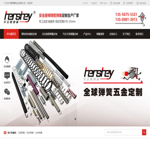 广东华尔赛弹簧实业有限公司