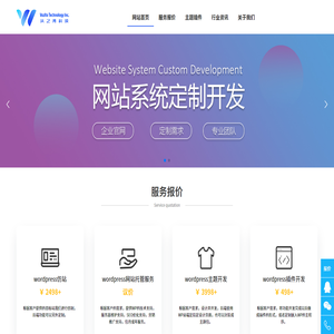 网站开发定制