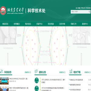 湖南农业大学科学技术处/新农村发展研究院