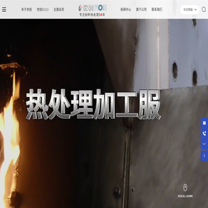 广东世创金属科技股份有限公司