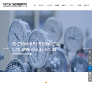 石家庄西比克仪表有限公司