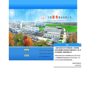 吡拉西坦(脑复康)