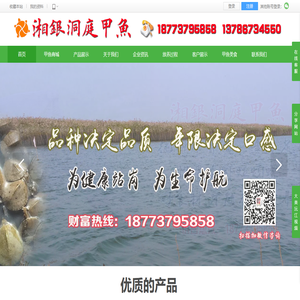 甲鱼,甲鱼苗,外塘甲鱼,甲鱼批发,甲鱼养殖,湖南甲鱼,甲鱼销售,大湖甲鱼,中华鳖苗18773795858