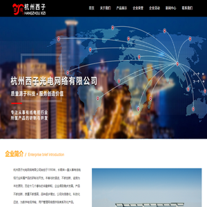 杭州西子光电网络有限公司