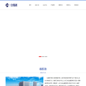 山东三合实业集团有限公司