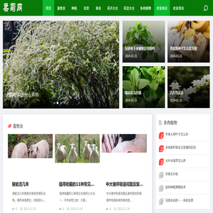 农业种植养殖知识资讯
