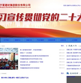 宁夏建材集团股份有限公司