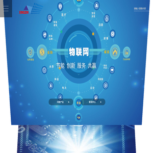 湖北兴致天下信息技术有限公司