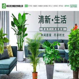 南京鸿之景园艺有限公司