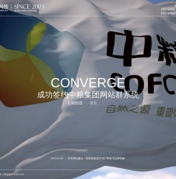 网络品牌策划公司,北京网站建设,高端网站建设,网站设计,专业网站设计