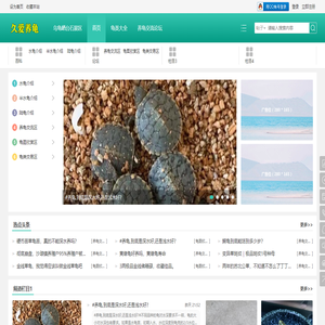 久爱养龟