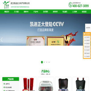 武汉凯迪正大