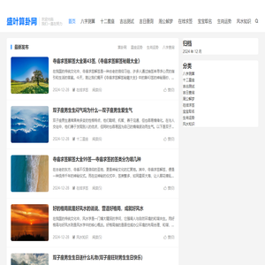 盛叶算卦网