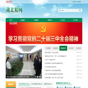 湖北粮网