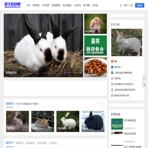兔子网