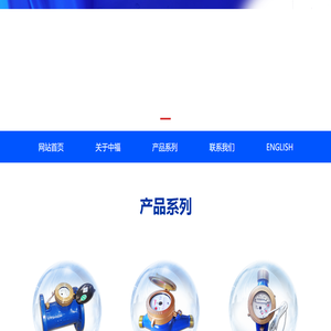 福州中福水表有限公司