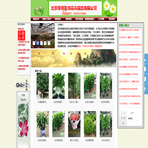 北京租花公司,北京绿植租摆公司,北京花卉租赁公司