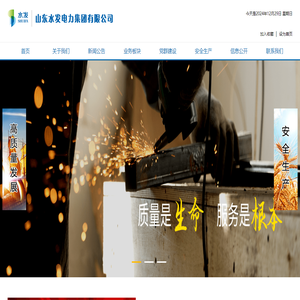 山东水发电力集团有限公司