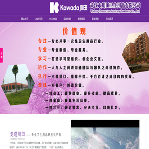 武汉市川田卫生用品有限公司