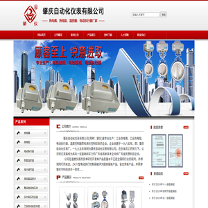 肇庆自动化仪表有限公司