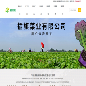 湖南插旗菜业有限公司