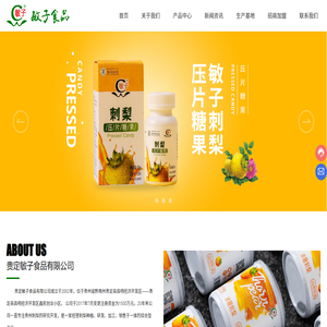 贵州贵定敏子食品有限公司