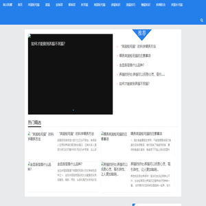 英国短毛猫