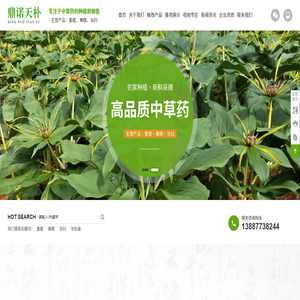 中草药种植