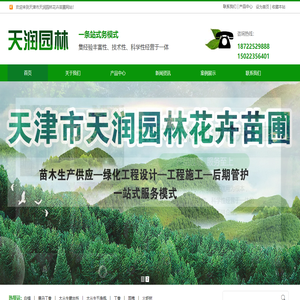 天津苗木