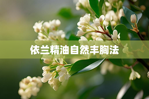 美妆知识