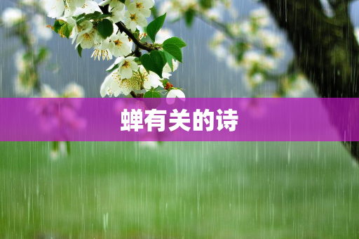 散文分享