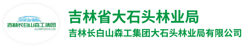 大石头林业局