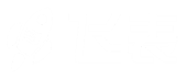 飞表RocketTable